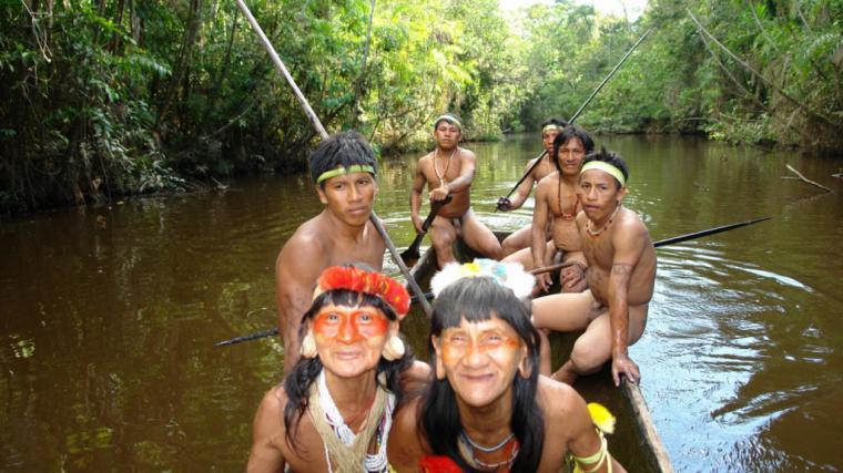 Los Guardianes del bosque, indígenas mueren protegiendo sus tierras en Maranhão