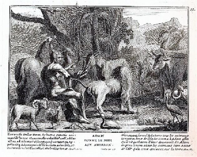 Adán pone nombre a los animales. Grabado francés del siglo XVIII.
