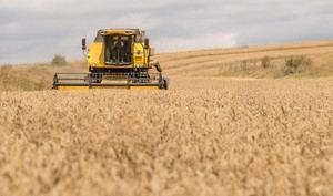 Andalucía destina 685 millones en ayudas para el sector agrario afectado por borrascas