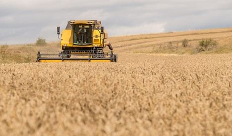 Andalucía destina 685 millones en ayudas para el sector agrario afectado por borrascas