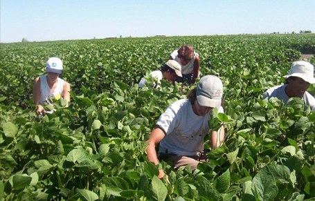 El Gobierno aprueba medidas urgentes para favorecer la contratación temporal de trabajadores en el sector agrario