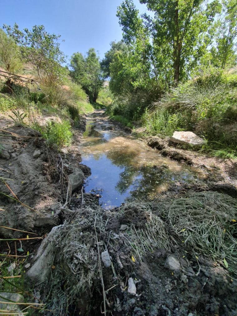 El alcalde de Alcontar sigue permitiendo que las aguas fecales contaminen el rio Almanzora