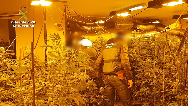 La Guardia Civil desarticula una importante organización delictiva que cultivaba cannabis en once viviendas de un mismo barrio de Roquetas de Mar