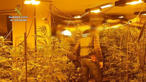 La Guardia Civil desarticula una importante organización delictiva que cultivaba cannabis en once viviendas de un mismo barrio de Roquetas de Mar