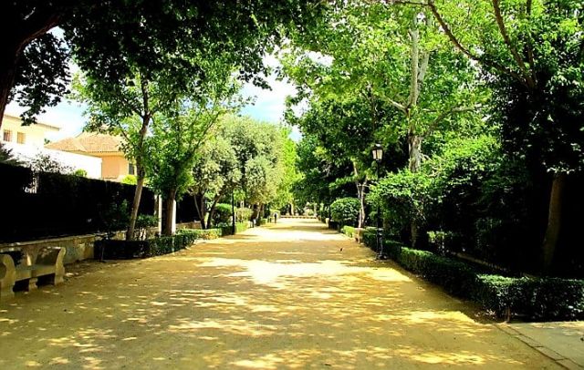 El Ayuntamiento de Lorca inicia la campaña de preparación de las más de 7.000 plantas que adornarán los parques y jardines de todo el municipio el próximo otoño