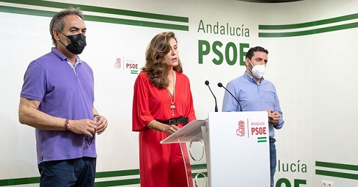 El PSOE de Almería parece haberse percatado del papel que se le atribuye a la oposición y denuncia que el PP oculta información sobre el ‘Caso mascarillas’ 