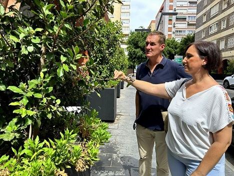 El PSOE pide al equipo de Gobierno el correcto mantenimiento de las jardineras de la calle José Artés de Arcos