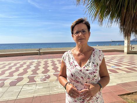 El PSOE reclama un estudio sobre la viabilidad de instalar redes antimedusas en las playas de Almería de cara al próximo verano