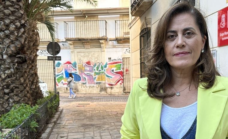 El PSOE exige a la alcaldesa que renueve jardines, alumbrado y bancos de Cabo de Gata por los más de 1.500 vecinos que viven allí todo el año