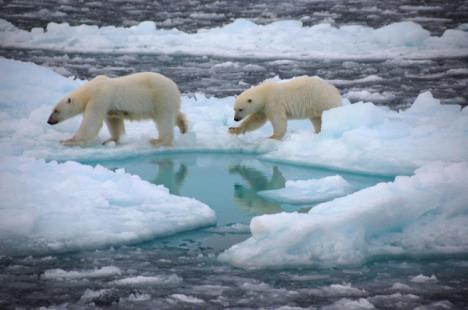 El agujero de ozono en el Ártico se ha cerrado