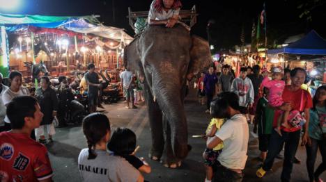 El consulado español brinda asistencia a la familia de la joven fallecida por ataque de elefante en Tailandia