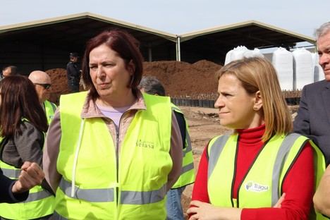Inician trabajos de recuperación en viveros de Valencia tras la dana
