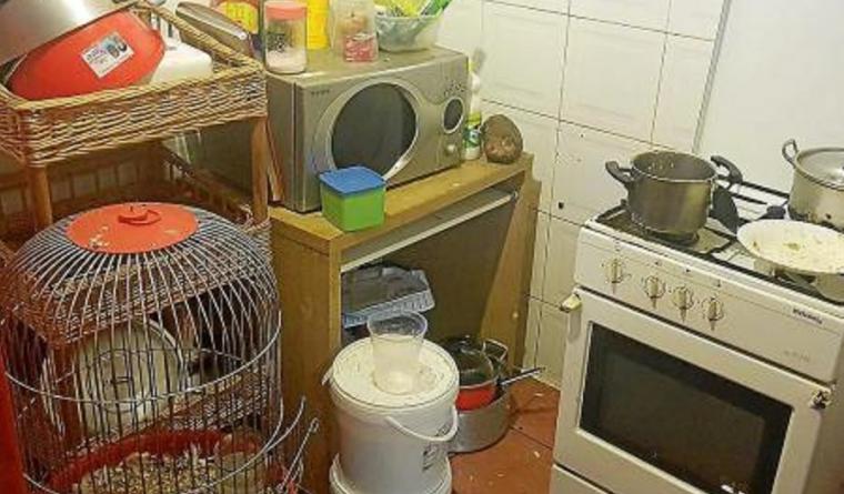 La policía de Baleares encuentra animales enjaulados en la cocina de un restaurante chino de Son Gotleu