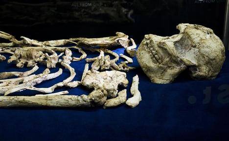 Little Foot, El esqueleto de 'Australopithecus' más completo