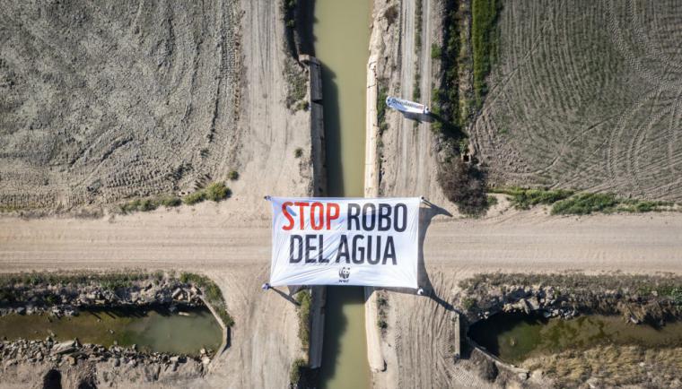 Condenados a prisión los cinco hermanos terratenientes que expoliaron agua en Doñana
 