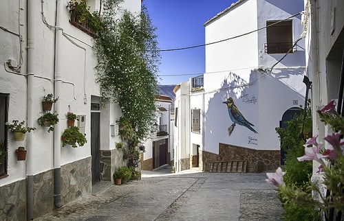 Almócita ( Almería) gana el Primer premio a la Sostenibilidad de pequeños y medianos municipios de España