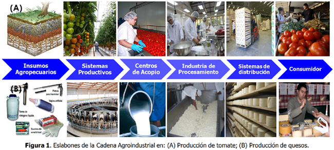 El Ayuntamiento de Lorca informa de la apertura del plazo para solicitar las ‘Ayudas a Inversiones en Transformación, Comercialización y Desarrollo de Productos Agrarios