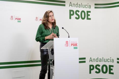 El PSOE se congratula del proceso de estabilización aprobado por el Gobierno de España que beneficia a 196 funcionarios