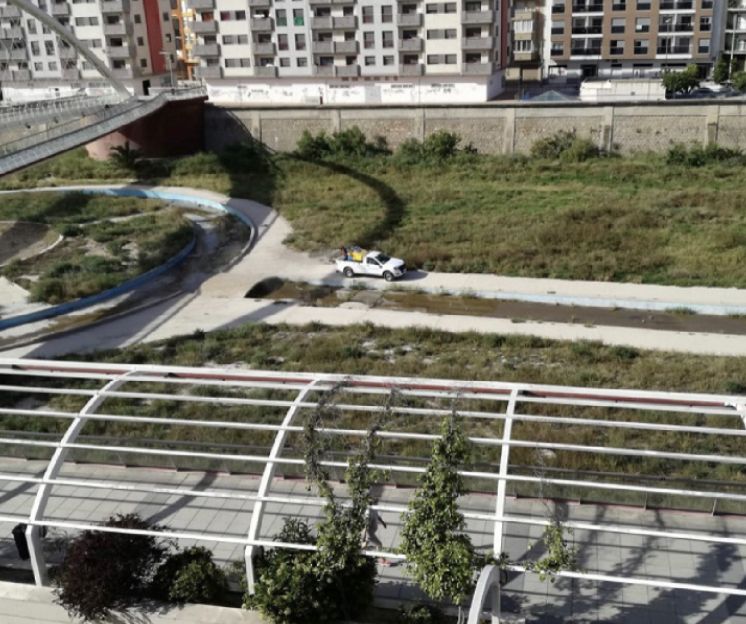 El Ayuntamiento realiza hoy jueves un tratamiento para evitar la proliferación de mosquitos zona del cauce del Río Guadalentín a su paso por Lorca