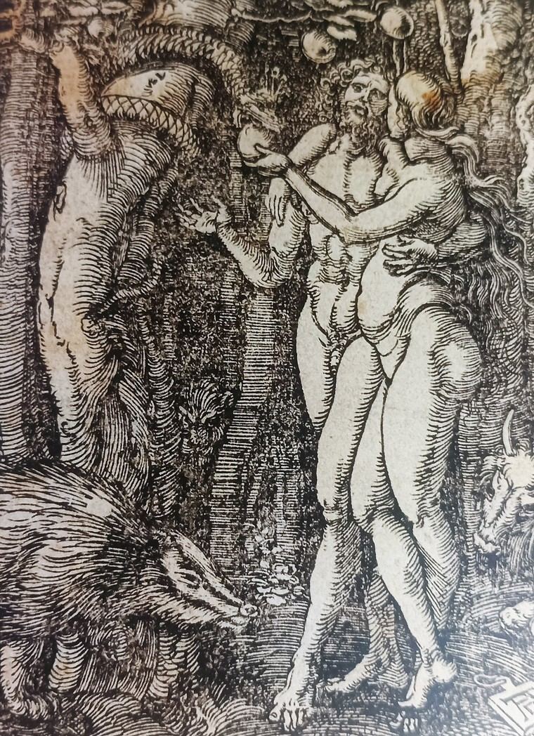 Alberto Durero. Adán y Eva. La caída del hombre (1509-1510) Colección Almagro-Herrador.