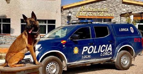 La Unidad Canina de la Policía Local de Lorca muestra su trabajo a más de 200 niños de la Escuela de Verano del Club Deportivo ‘Los Álamos’