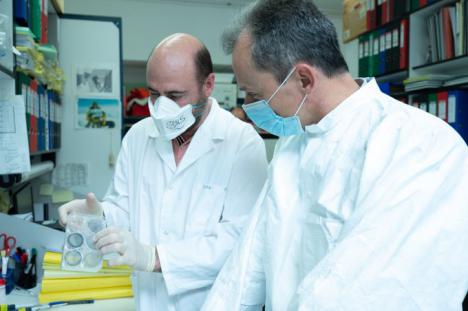 Investigadores españoles iniciaran la próxima semana ensayos preclínicos del coronavirus con animales