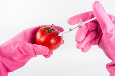 El Gobierno adapta la normativa española sobre organismos modificados genéticamente al derecho de la UE