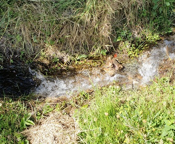 El alcalde de Alcontar sigue permitiendo que las aguas fecales contaminen el rio Almanzora