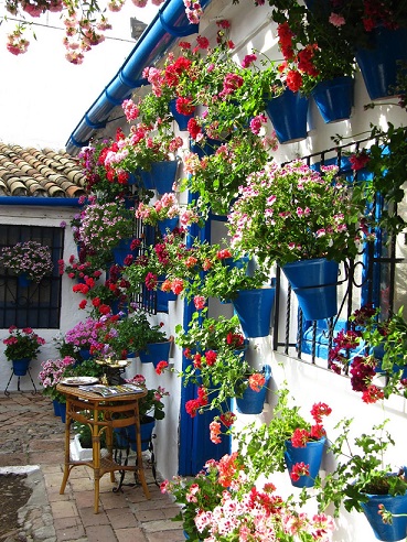 ' Patios ,fachadas ,flores . Córdoba un ejemplo en Mayo', por María Antonia García Jiménez, abogada
