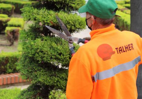 CGT entregará árboles a la ciudad el próximo 28 de septiembre para reponer los que se han secado por los incumplimientos de Thaler en la concesión de parques y jardines