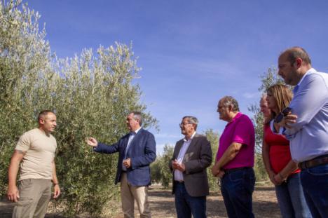 Espadas exige a Moreno Bonilla un Plan de Empleo especial para el campo andaluz ante la pérdida de jornales por la sequía