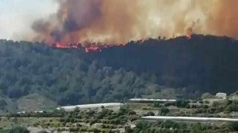 Incendio en Vélez de Benaudalla, por la negligencia de un agricultor