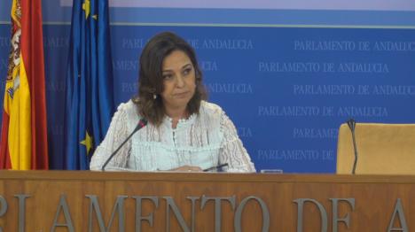 El PSOE-A pregunta al gobierno de Moreno Bonilla quién es el padrino o la madrina de los contratos a dedo en la Junta