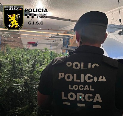 Policía Local de Lorca desmantela un cultivo de más de 100 plantas de marihuana en una vivienda del barrio de 'San Lázaro'