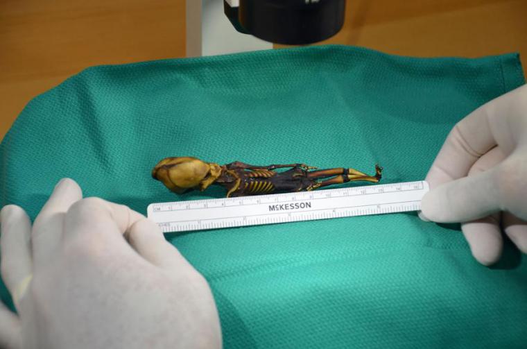 La «momia extraterrestre» del desierto de Atacama se trata un bebé momificado de forma natural. 