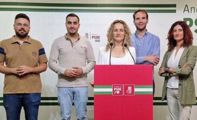 El PSOE de Albox lamenta que el PP niegue al sector hostelero una rebaja fiscal para instalar terrazas en la vía pública