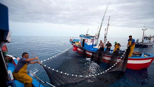 Los pescadores que no puedan faenar podrán acogerse a ayudas similares a las que se ofrecen durante el paro biológico