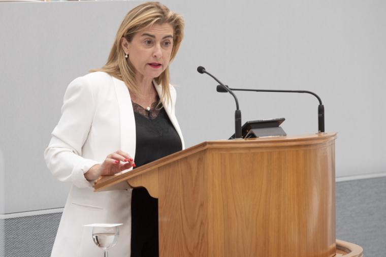 Carmina Fernández: “El PP hace demagogia con la Ley de Costas, utiliza los sentimientos de los vecinos y presenta una Proposición de Ley que no resuelve el problema”