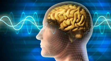 Científicos logran controlar la mente de ratones con un imán: Estamos cerca del control mental