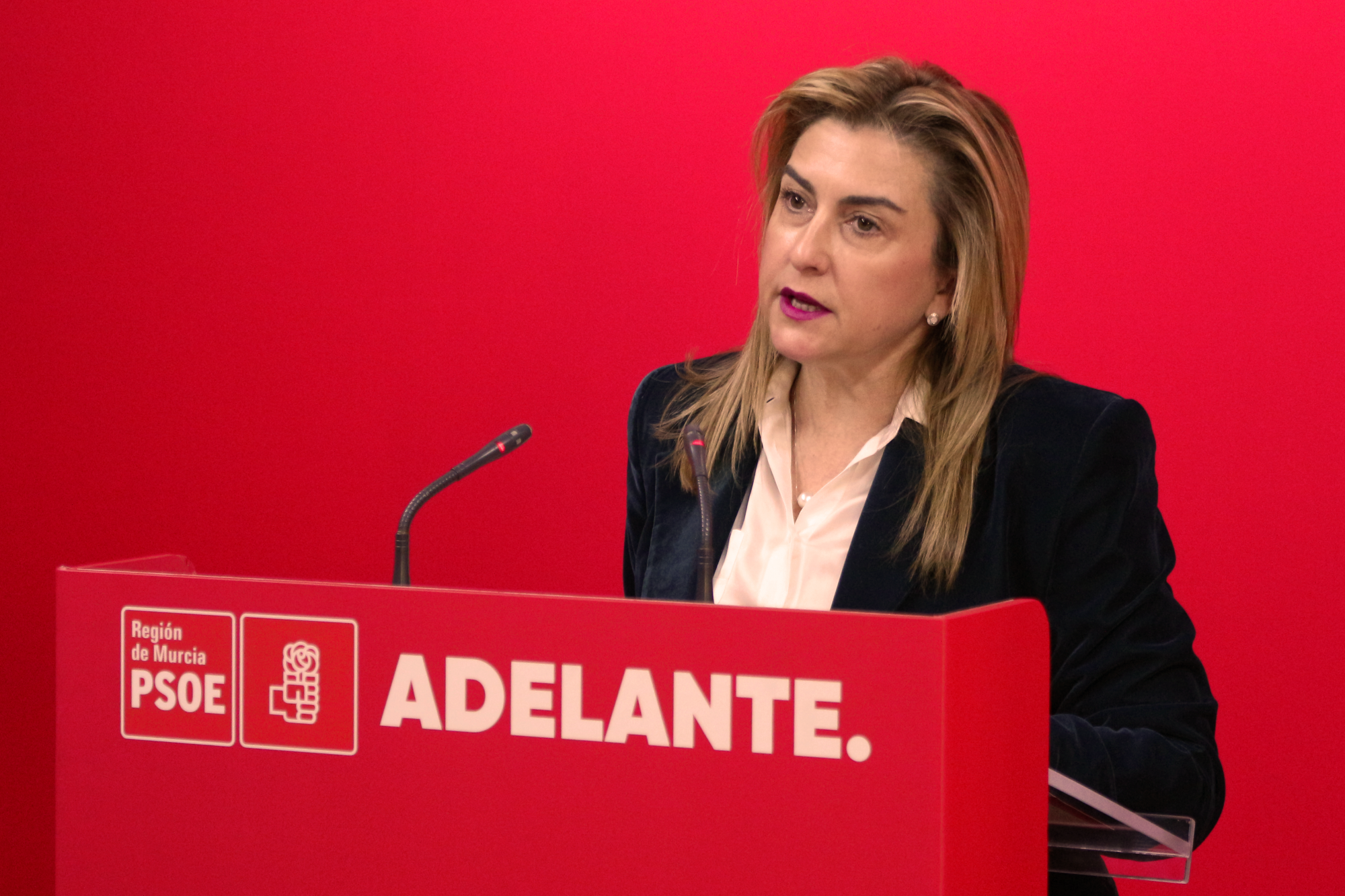 Carmina Fernández: “La ZAL estaba perdida por el incumplimiento del Gobierno regional”