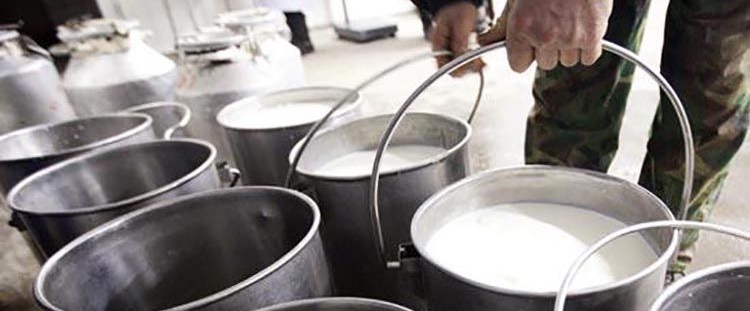Cajamar, en colaboración con InLac, presenta la publicación ‘El sector lácteo en España’