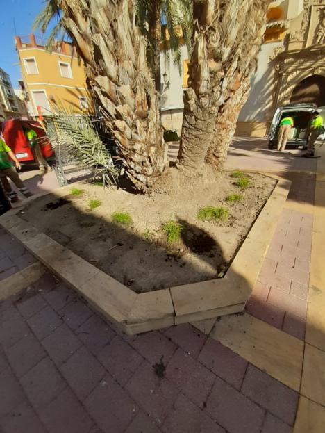 El Ayuntamiento de Lorca informa de un tratamiento contra el pulgón, previsto para este miércoles, en el arbolado de las calles de la urbanización Alameda de Los Tristes