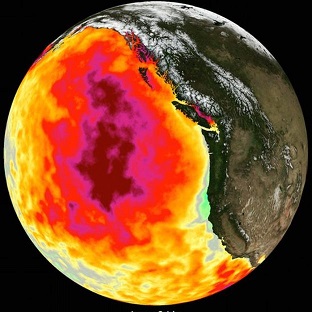 Una masa de agua cálida se desplaza por el Pacífico cdesde Nueva Zelanda a Sudamérica