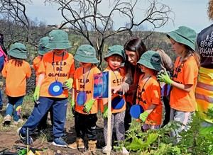 Xunta destina 8,5 M€ para impulsar la reforestación en Galicia