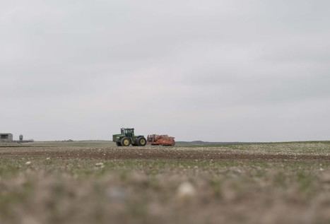 Gobierno de Aragón destina más de 20 millones en ayudas ganaderas de la PAC