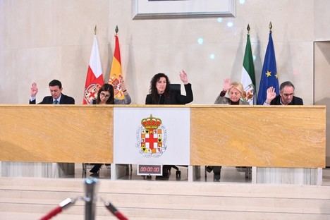 Almería aprueba un presupuesto histórico de 277 millones para 2025