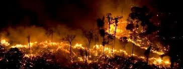 El Amazonas arde sin control