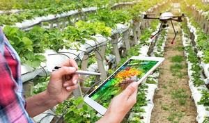 Andalucía se consolida como líder en bioeconomía circular tras la I Cumbre de Sevilla