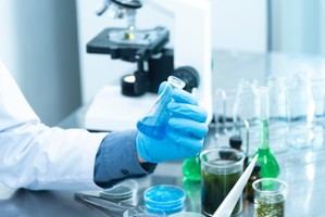 Asturias destina 96.000 euros para becas de investigación universitaria