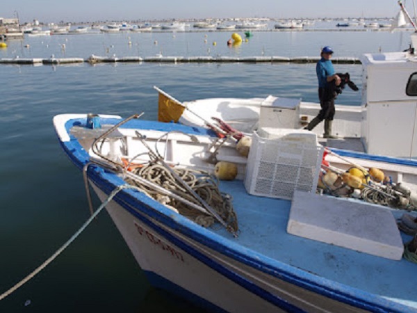 Los pescadores del Mar Menor siguen pescando, pese al estado tóxico de la laguna, con 65 embarcaciones